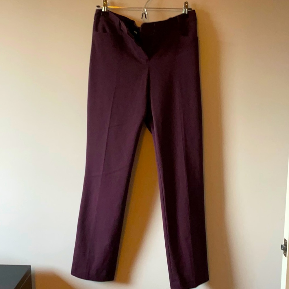 Express plum work pants